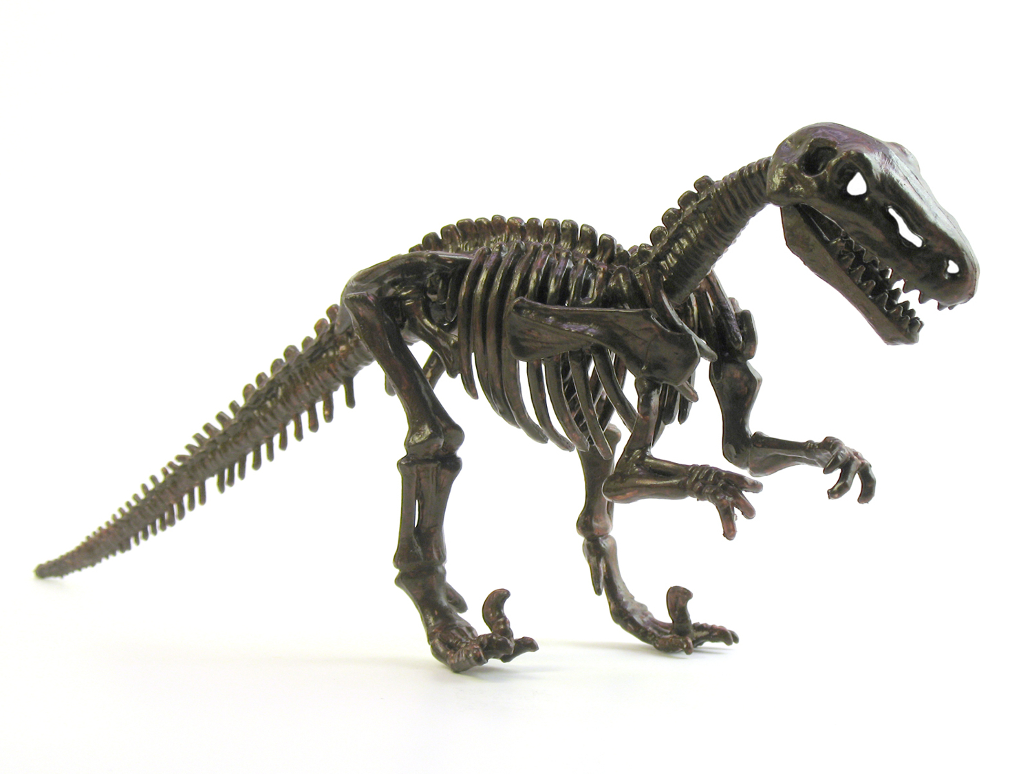 dinosaur skeleton model