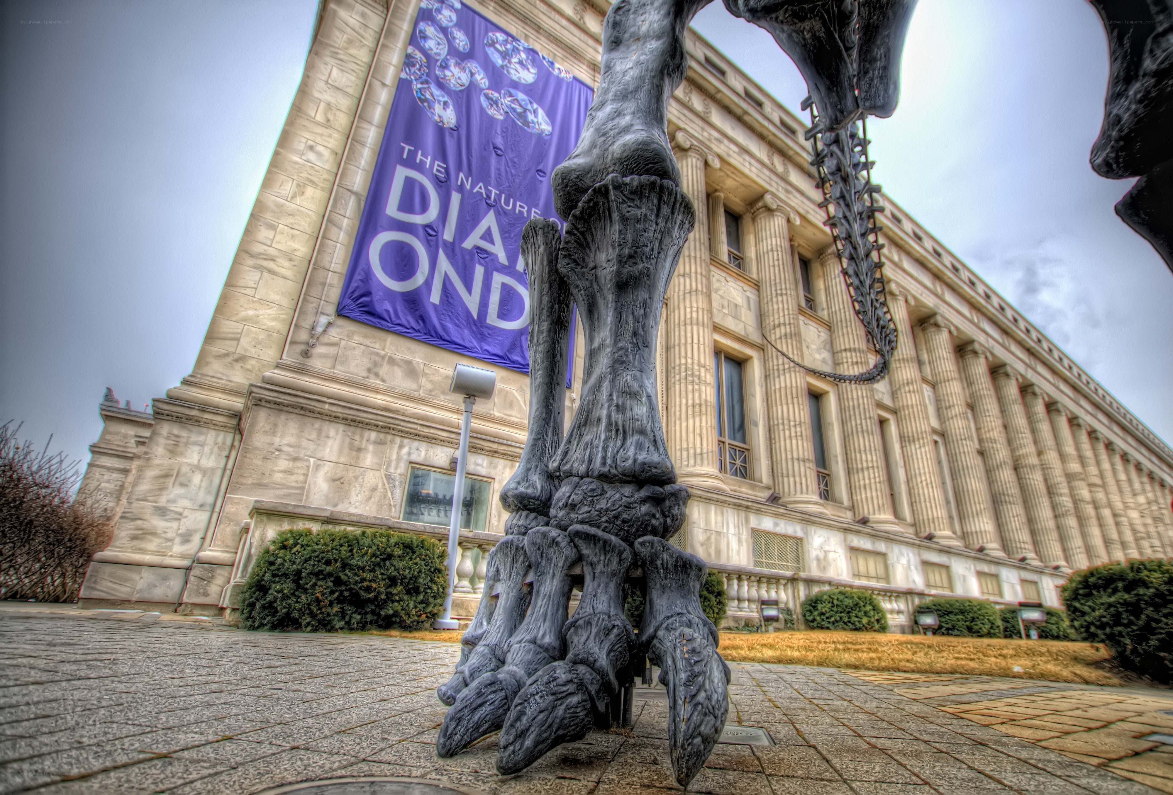 Dinosaur skeleton outside museum