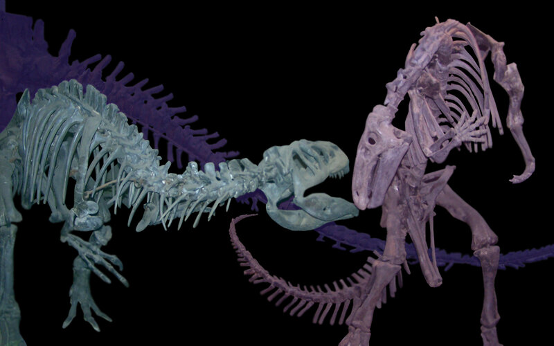 Dinosaur Skeletons Fighting