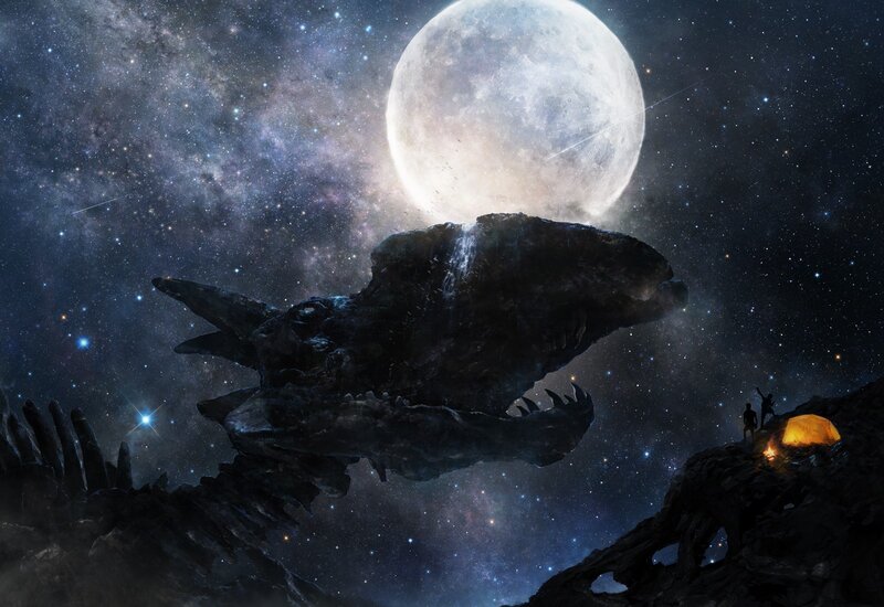 Dinosaur Skull Skeleton