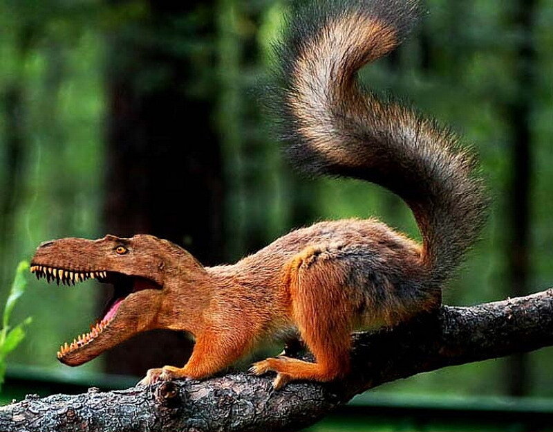 dinosaur squirrel hybrid