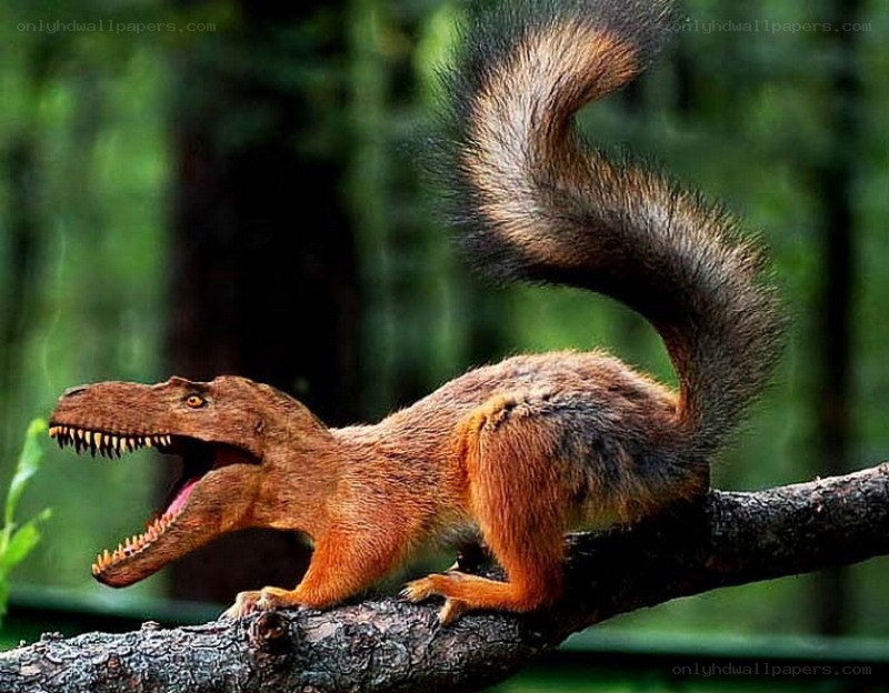 dinosaur squirrel hybrid