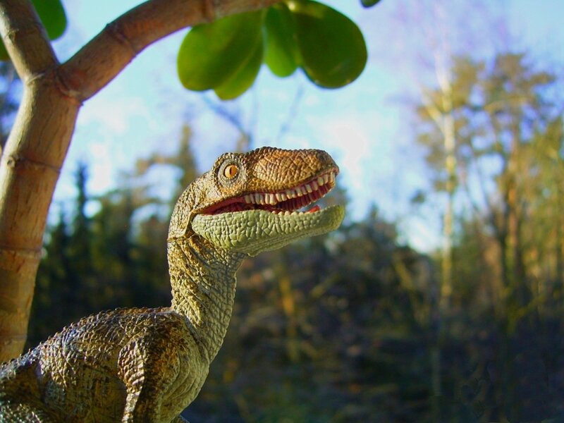 Dinosaur toy in forest