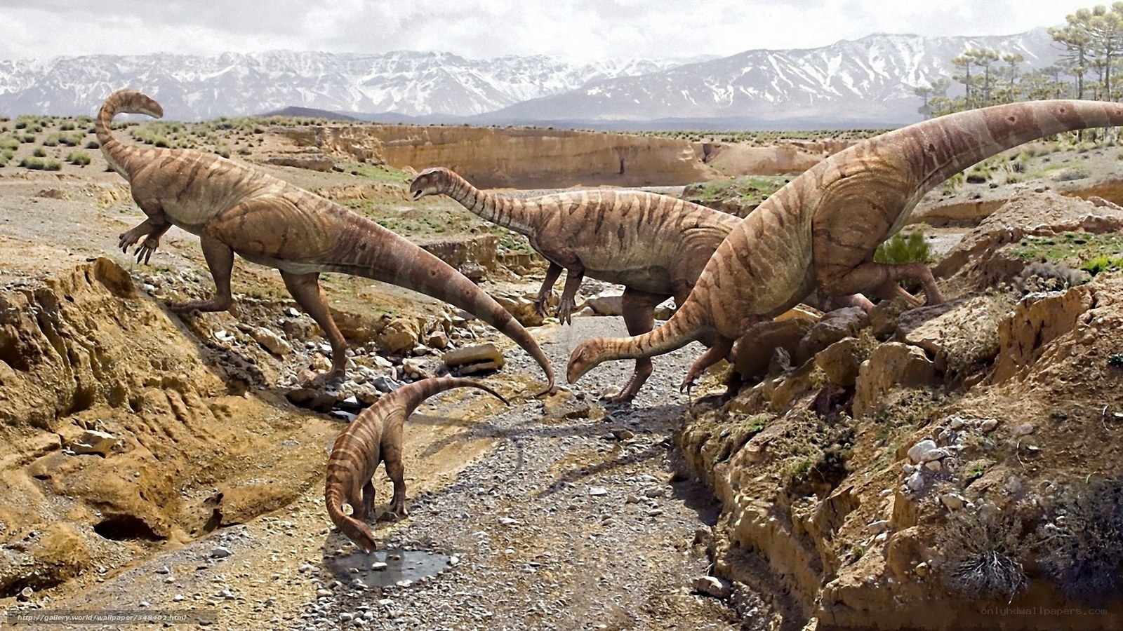 Dinosaurs in a desert landscape