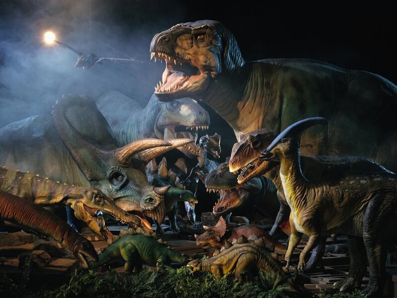 Dinosaurs in a Group
