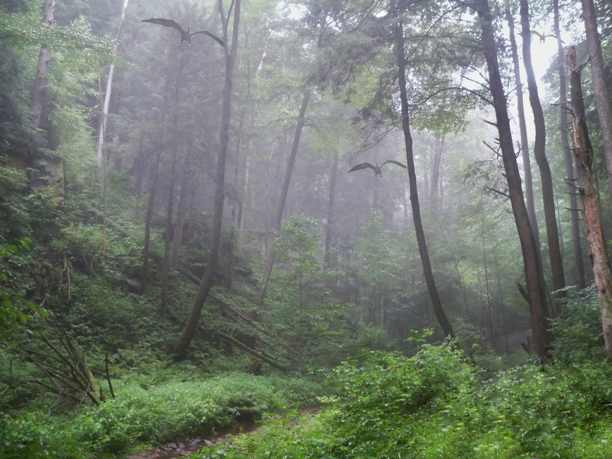 Dinosaurs in a misty forest