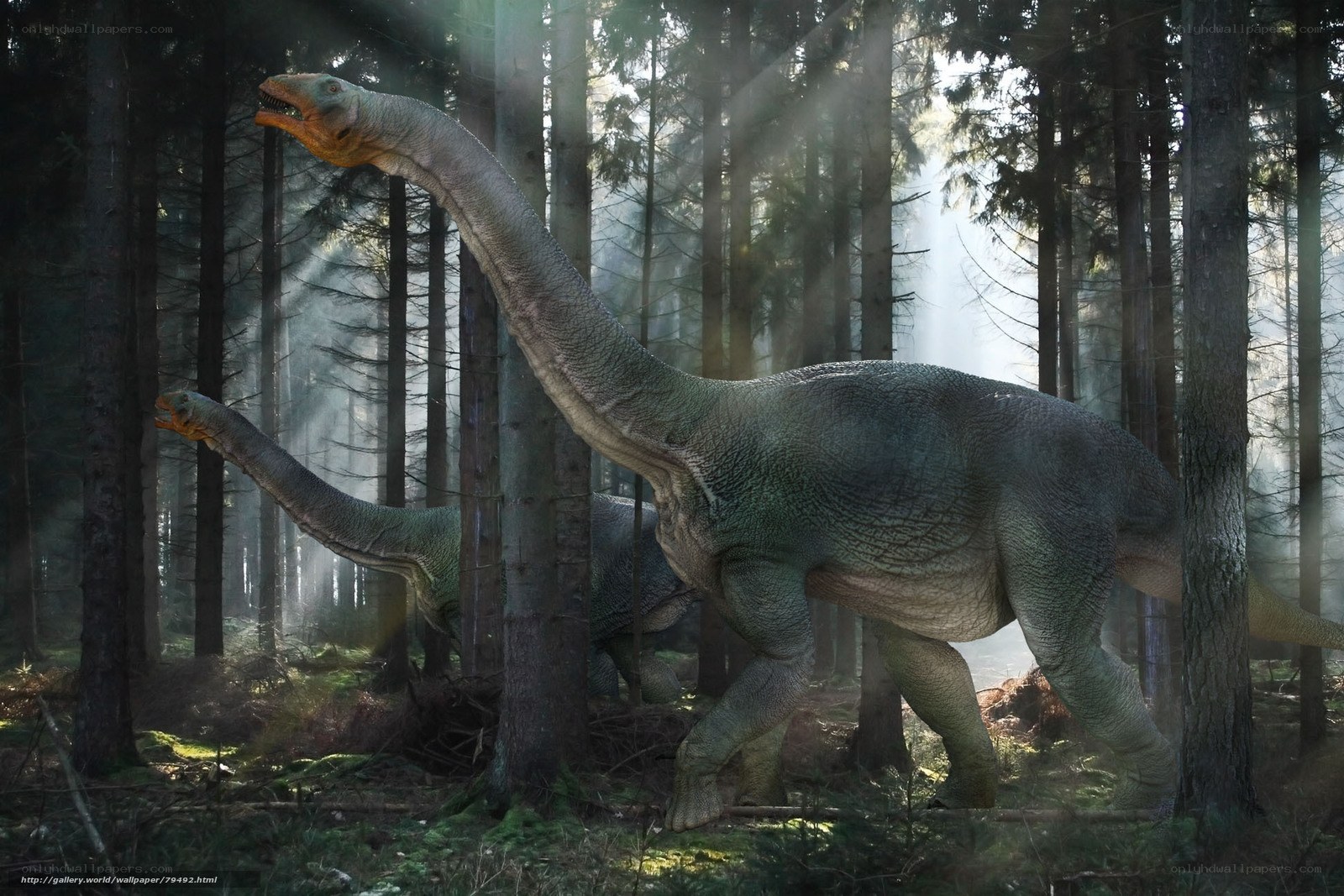 Dinosaurs in a misty forest