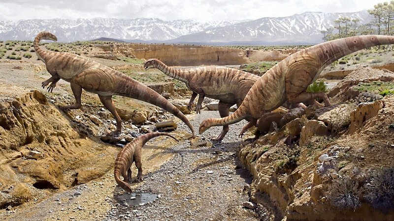 Dinosaurs in Canyon
