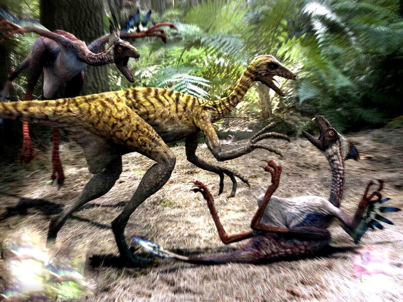 Dinosaurs in forest combat
