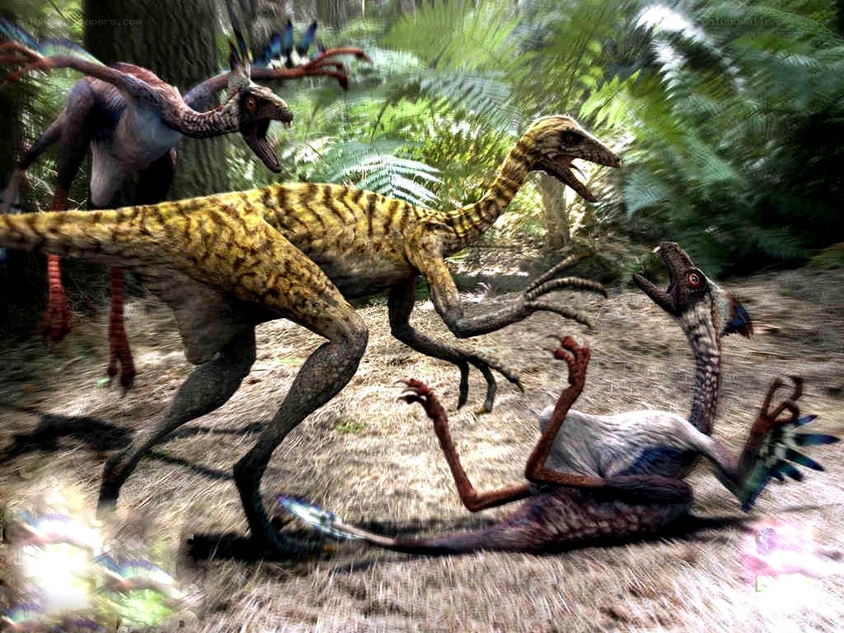 Dinosaurs in forest combat