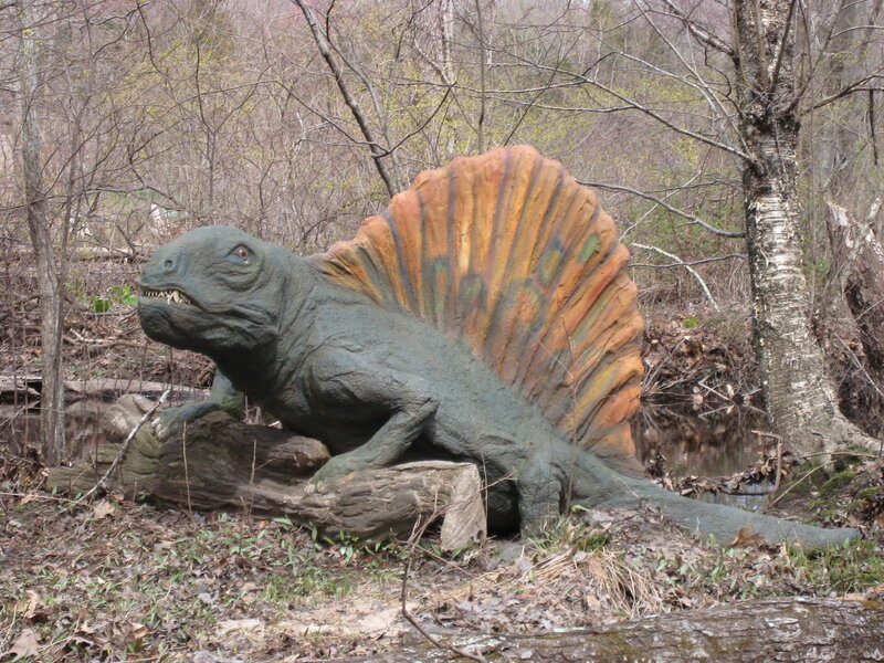 Dinosaurs in Forest