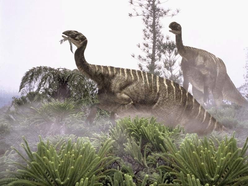 Dinosaurs in prehistoric forest