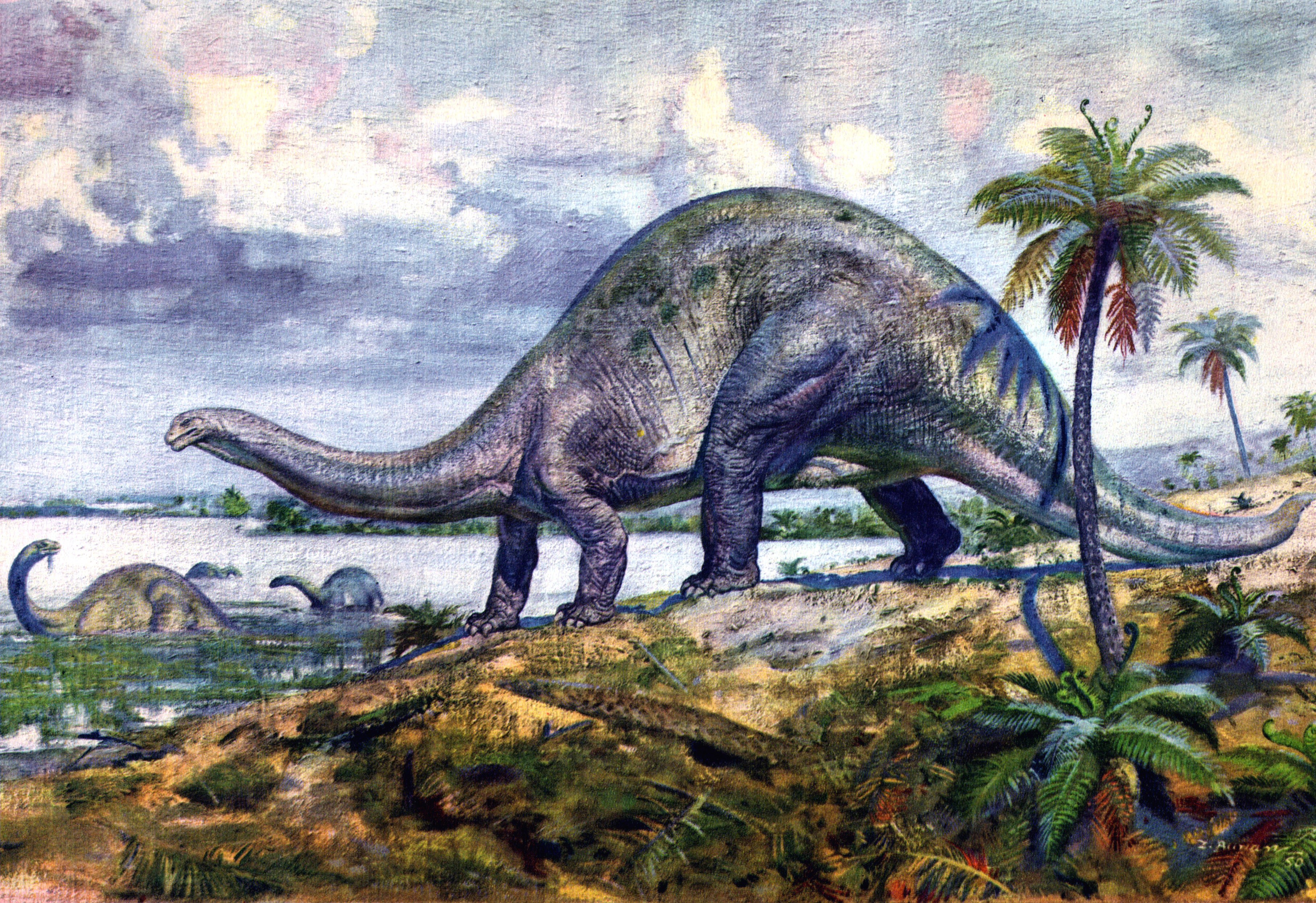 Dinosaurs in prehistoric landscape