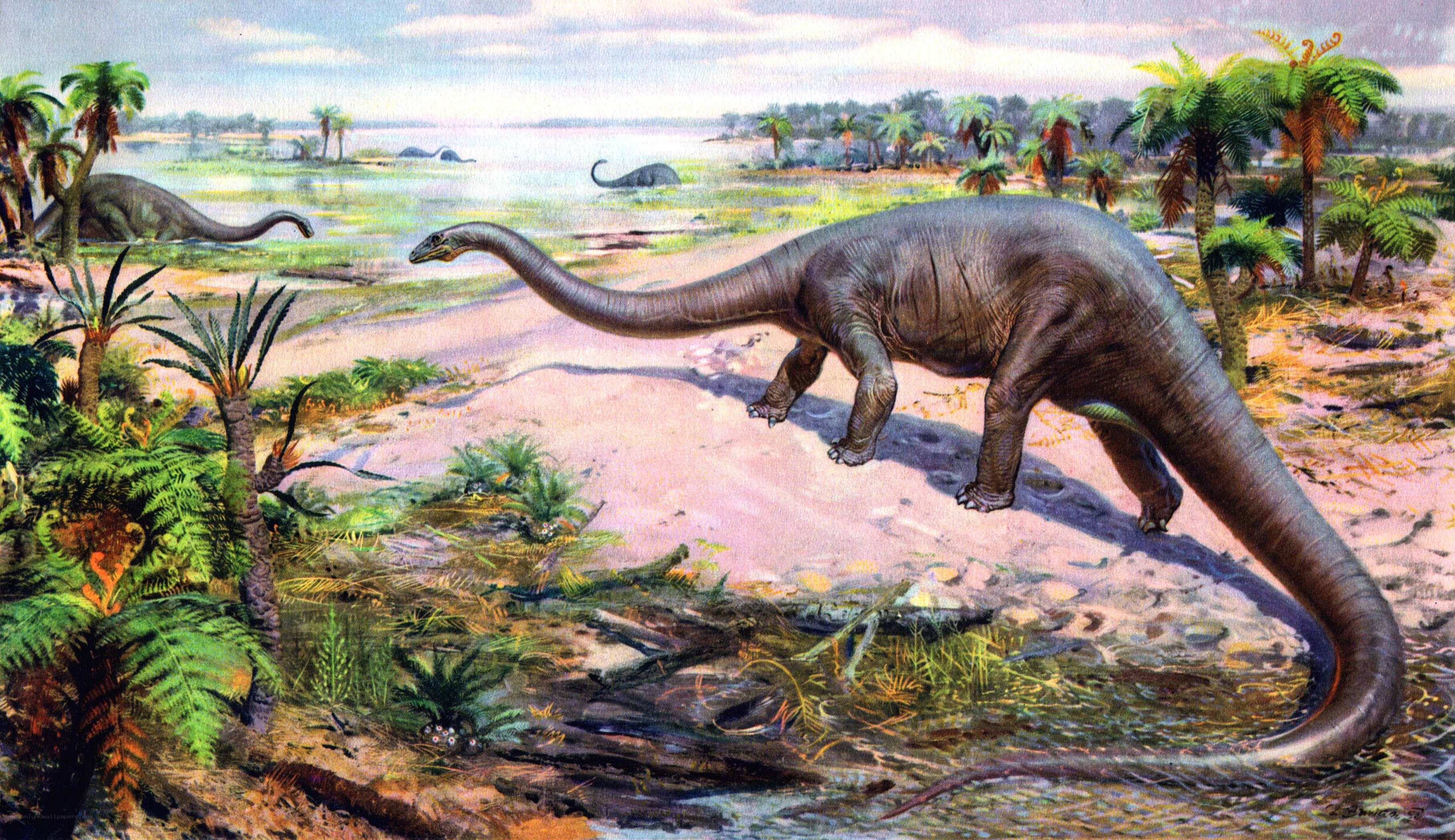 Dinosaurs in prehistoric landscape