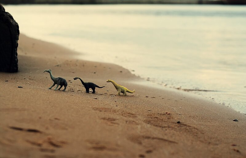 Dinosaurs on a beach
