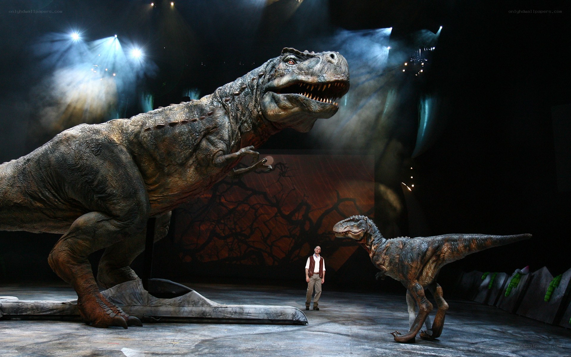 Dinosaurs on stage performance