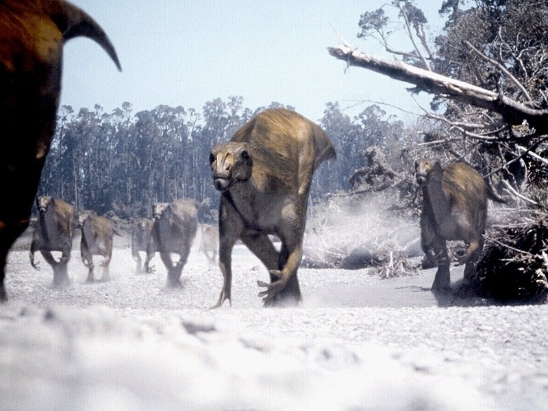 dinosaurs running in a forest