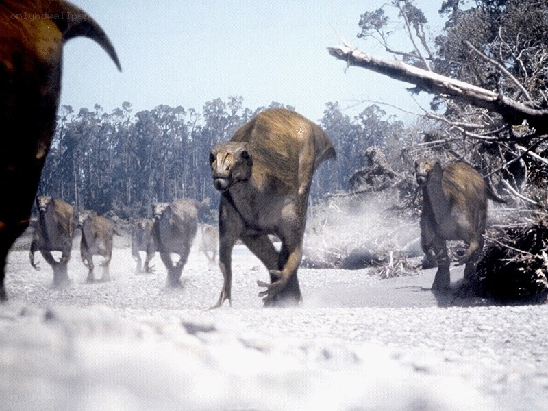 dinosaurs running in a forest