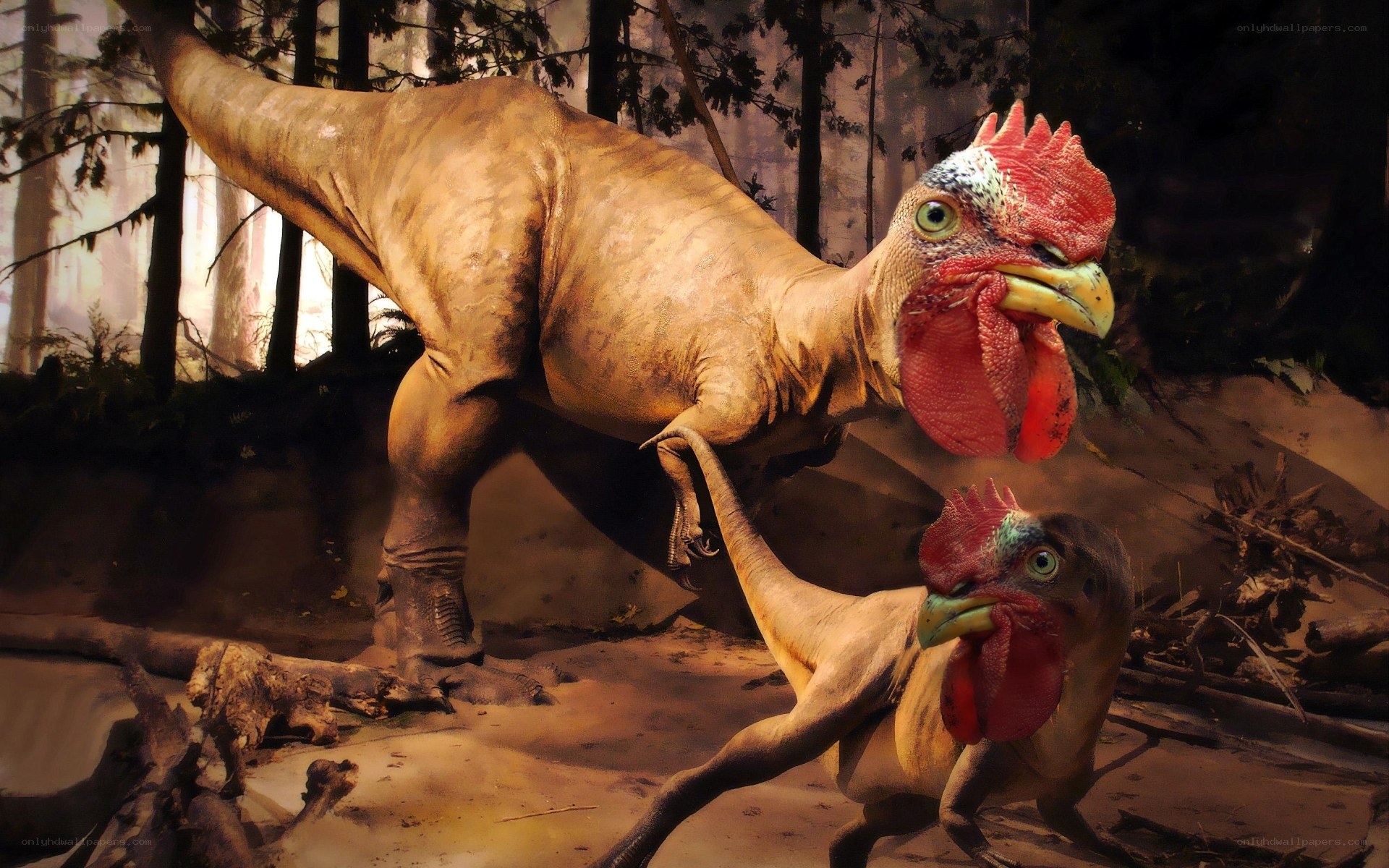 Dinosaurs with chicken heads
