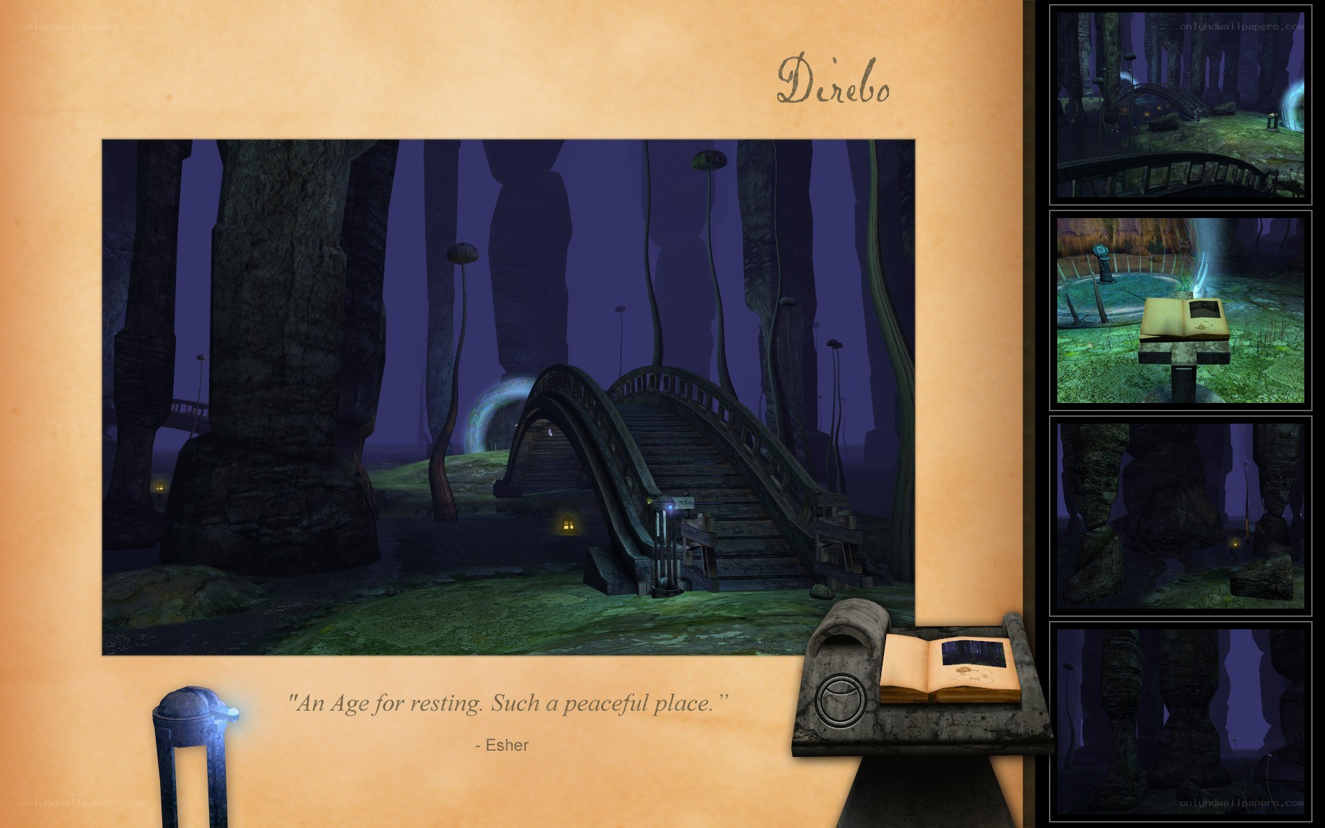 Direbo: peaceful forest scene