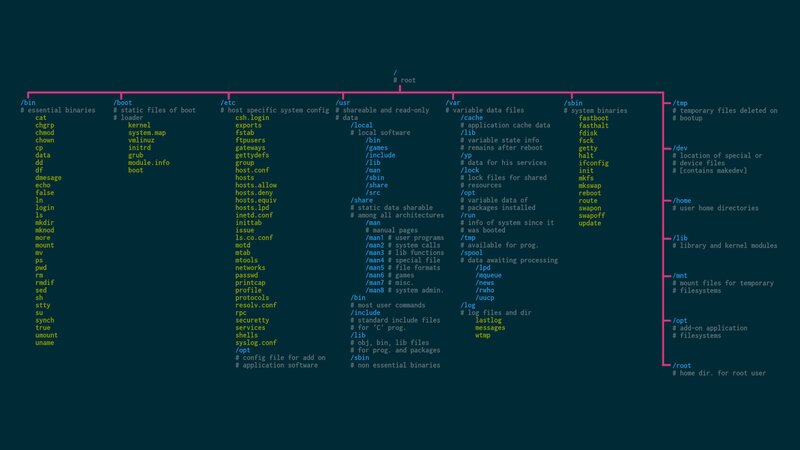 / Directory Structure