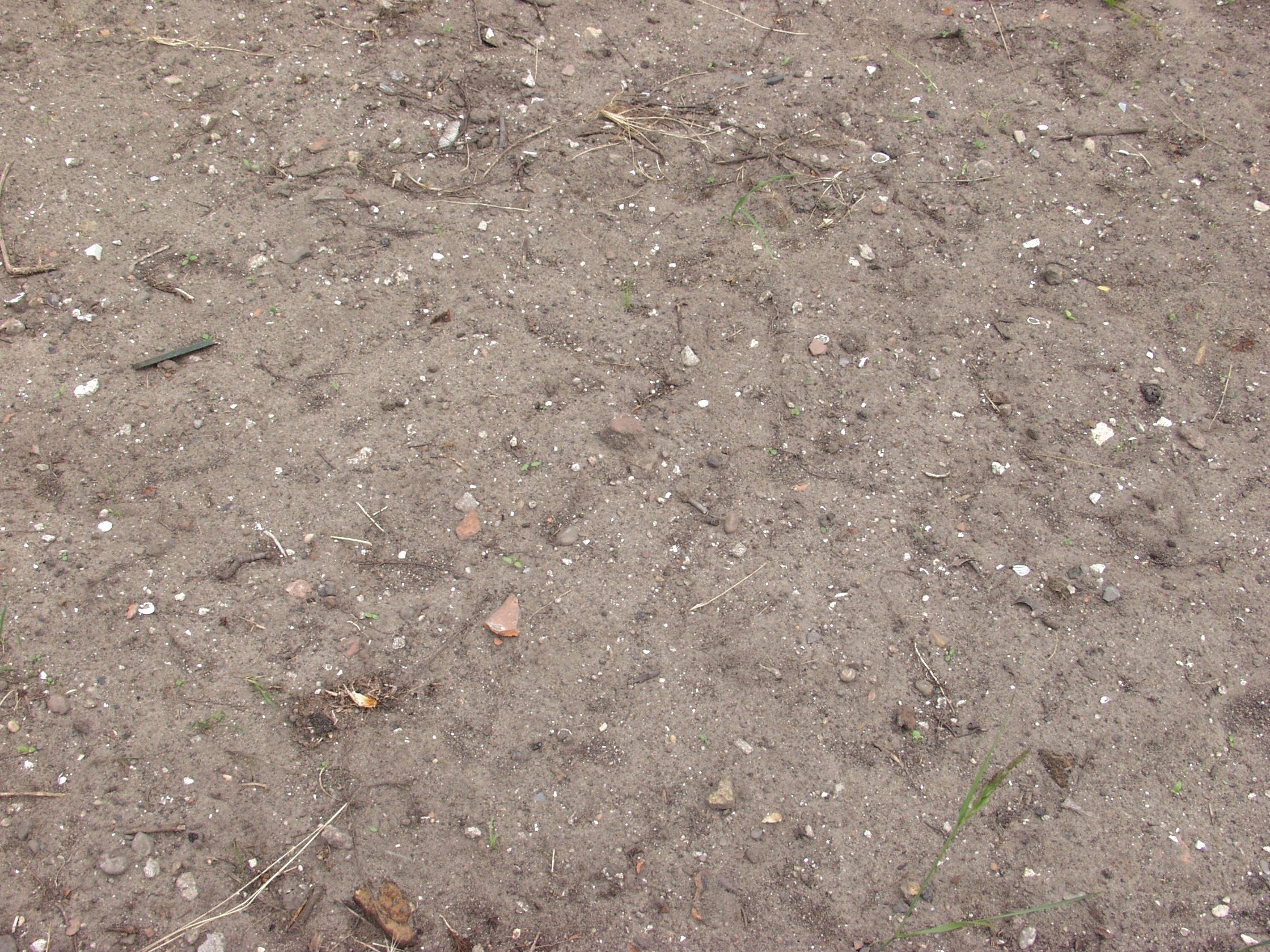 dirt and scattered debris