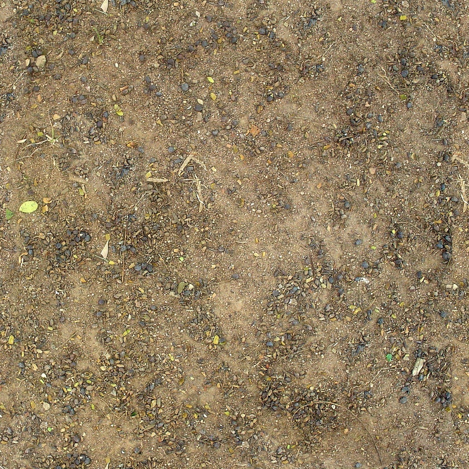 dirt and scattered debris