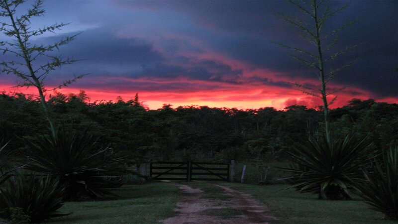 Dirt Path at Dusk — Red