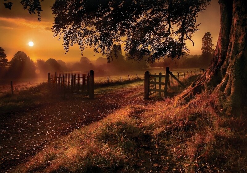 Dirt Path at Sunrise
