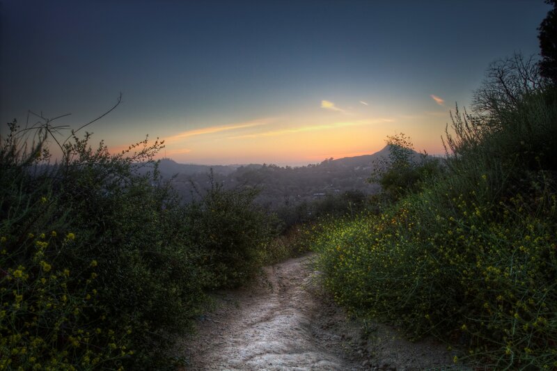 Dirt path at sunset