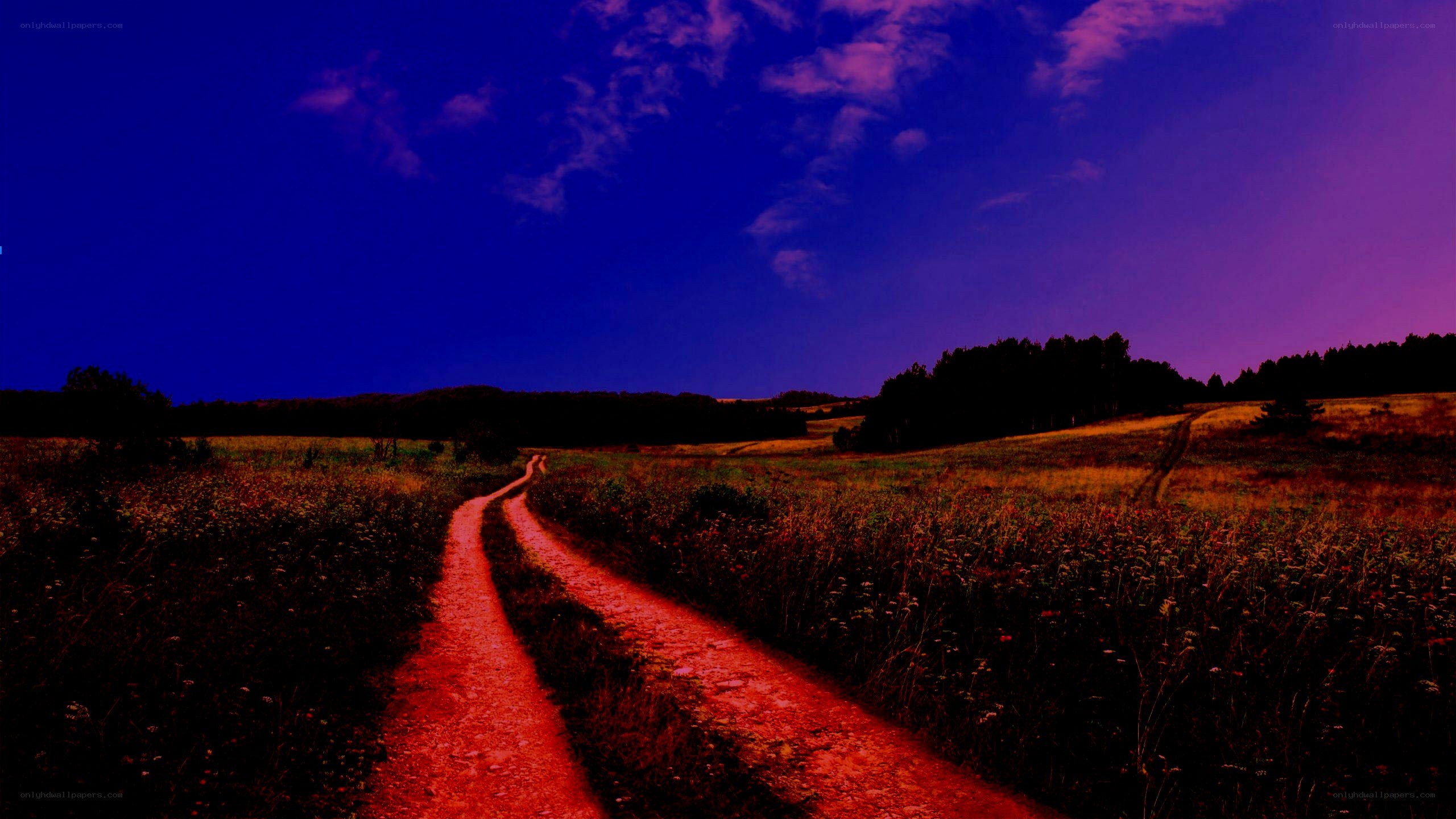 dirt path at twilight
