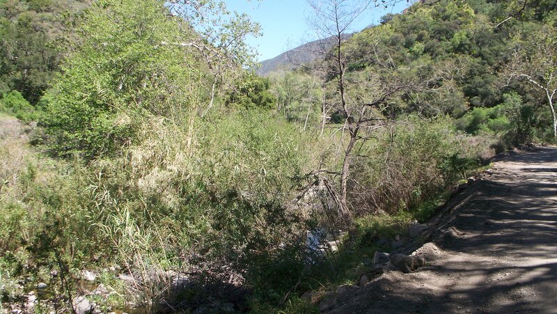 Dirt path beside a stream