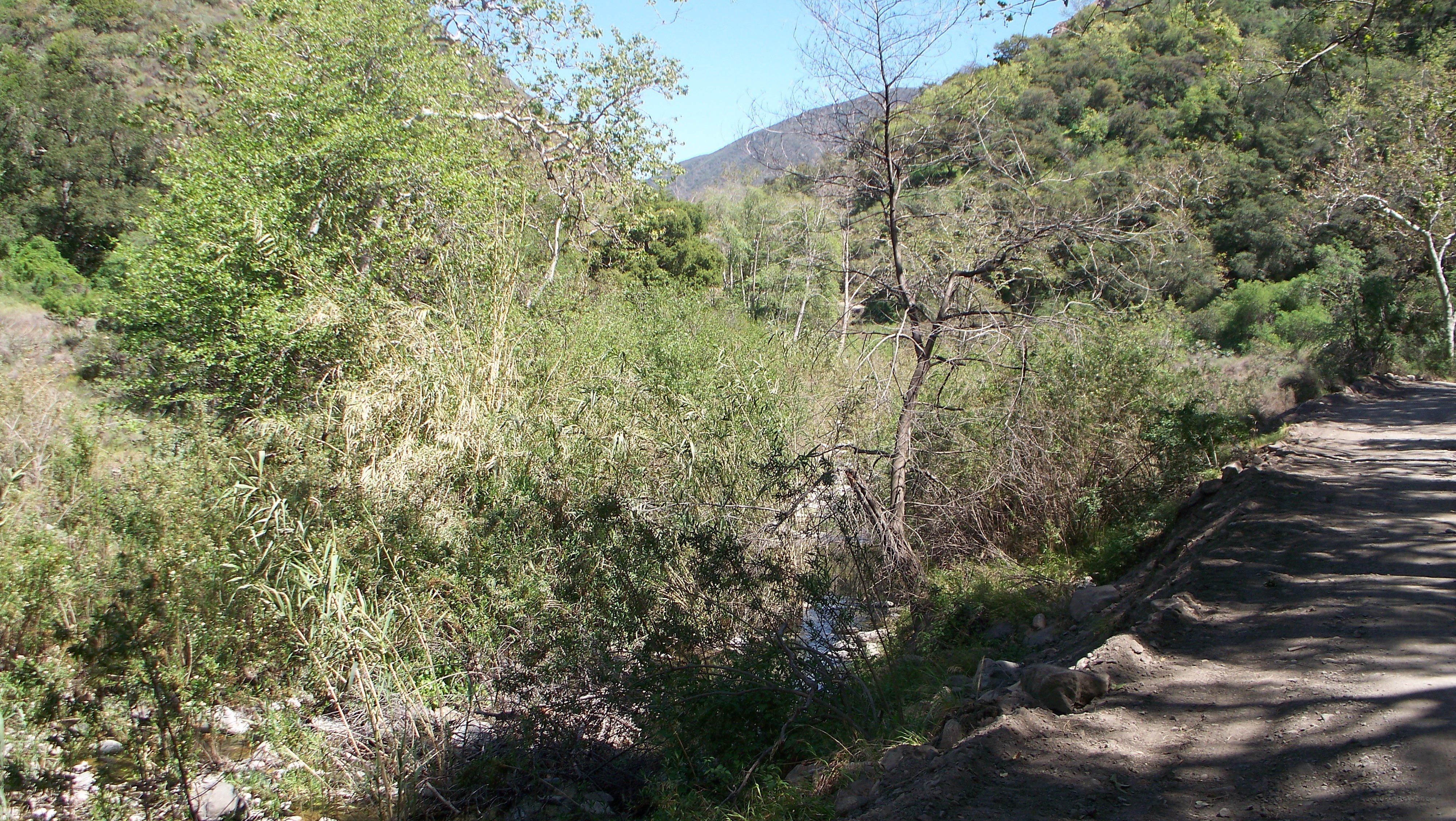 Dirt path beside a stream