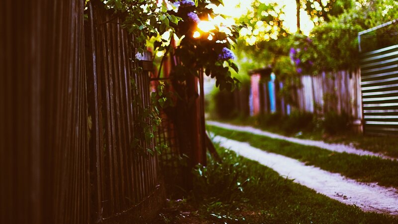 Dirt Path Between Fences — Green