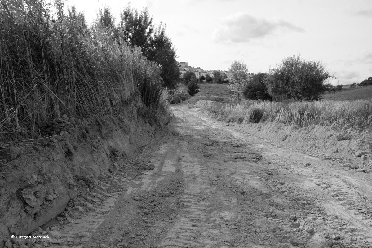 Dirt path in a rural area