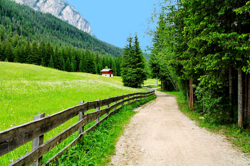 Dirt Path in Alpine Valley