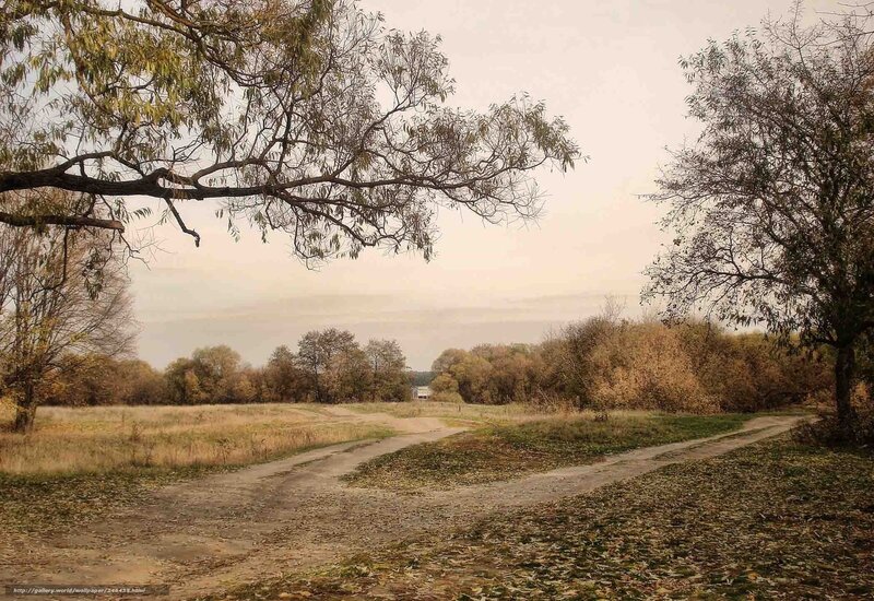 Dirt Path in Autumn Field — Brown
