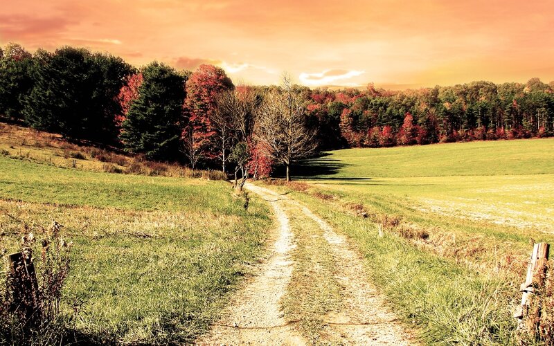 Dirt Path in Autumn Field — Green, Serene, Sunset