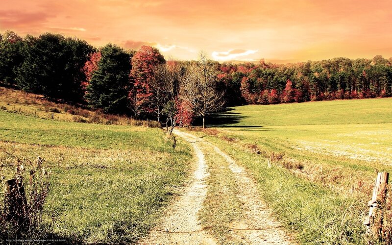 Dirt Path in Autumn Field — Orange