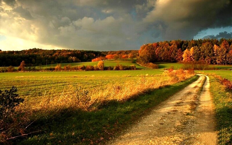 Dirt Path in Autumn Field