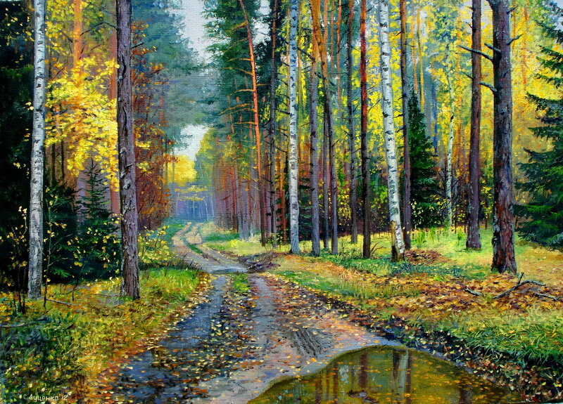 Dirt Path in Autumn Forest — Green