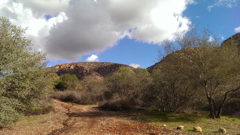 Dirt Path in Canyon — Brown, Serene