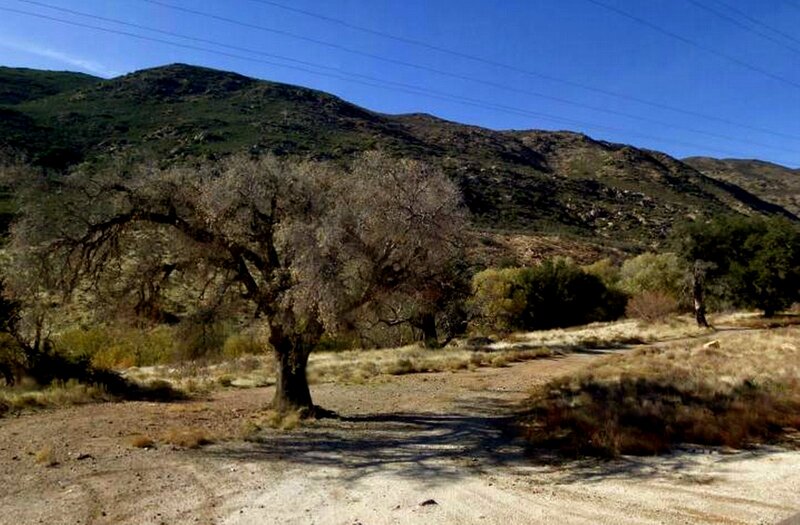 Dirt Path in Canyon — Brown