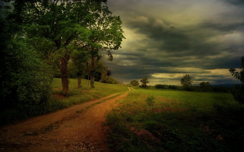 Dirt Path in Countryside — Green, Dramatic