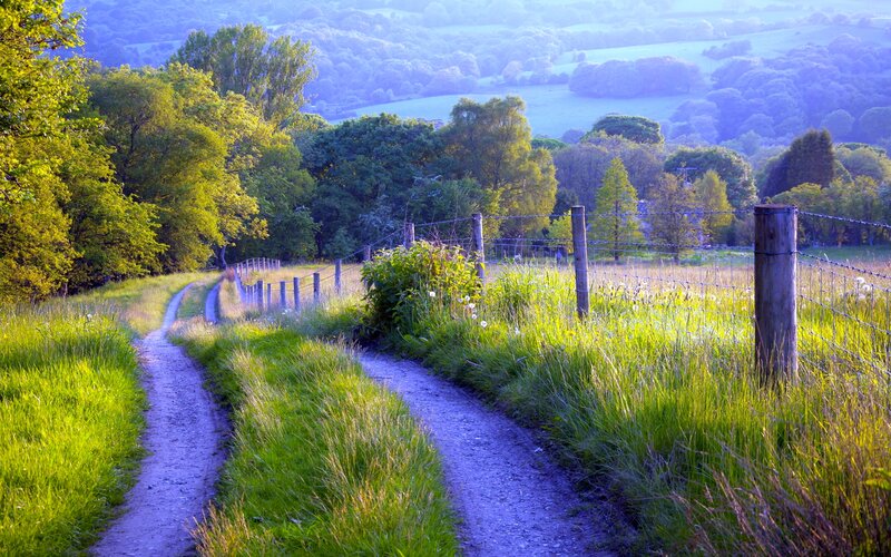 Dirt Path in Countryside — Green, Serene, Morning