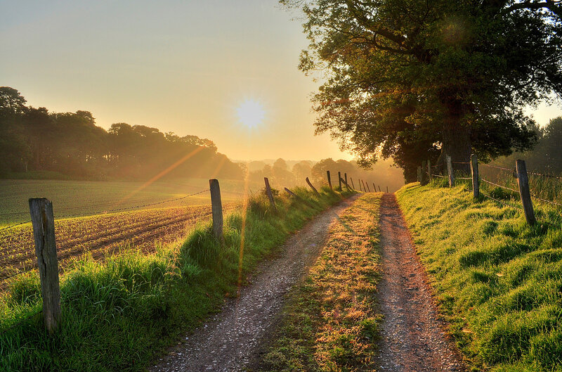 Dirt Path in Countryside — Green, Serene, Sunrise
