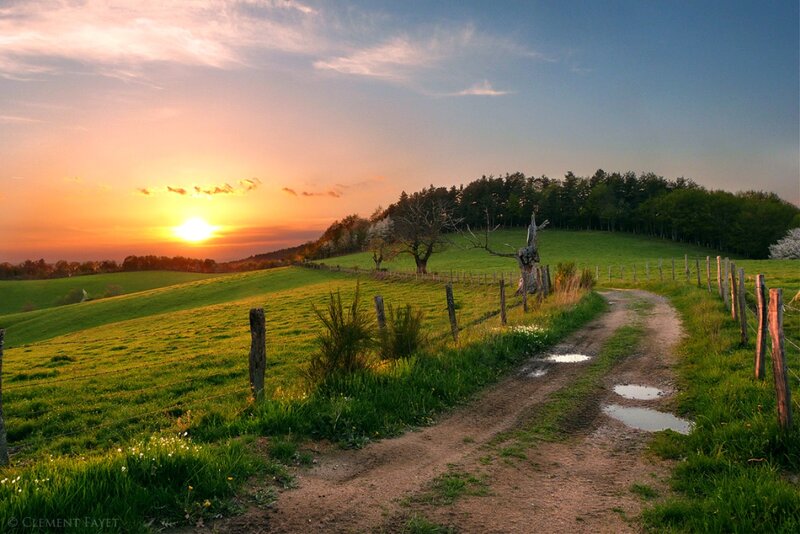 Dirt Path in Countryside — Green, Serene