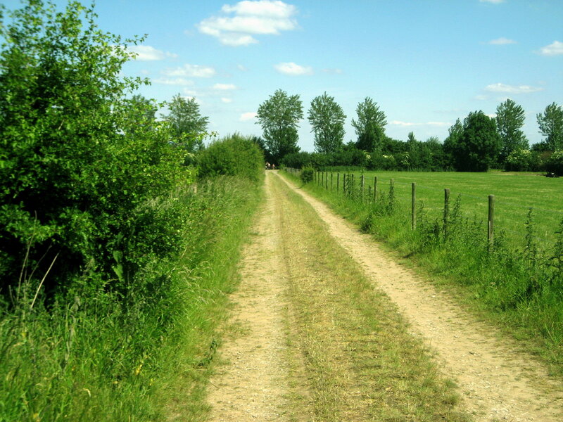 Dirt Path in Countryside — Green