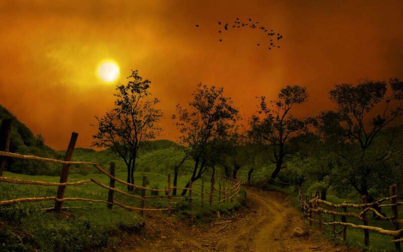 Dirt Path in Countryside — Orange, Dramatic