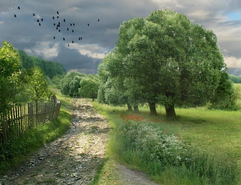 Dirt Path in Countryside